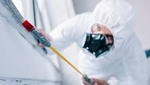 Best Real Estate Pest Inspections  in Pinetop Country Clu, AZ